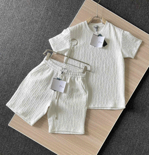  dior t-shirt Shorts Suits
