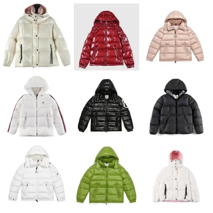 Moncler Montbeliard series hooded warm short zipper down jacket